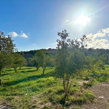 Quiet Oasis Luxury Stone Villa With Panoramic Views Near Essaouira Bagian luar foto