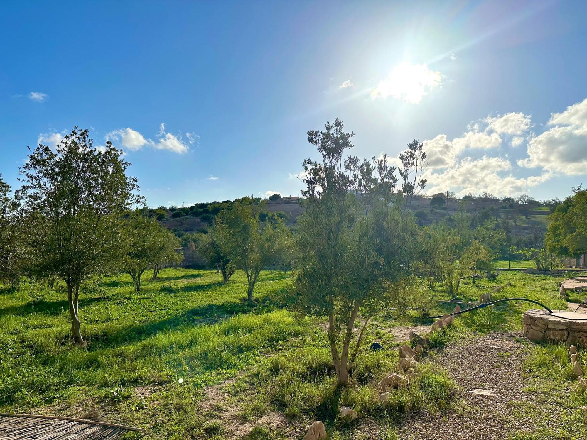 Quiet Oasis Luxury Stone Villa With Panoramic Views Near Essaouira Bagian luar foto